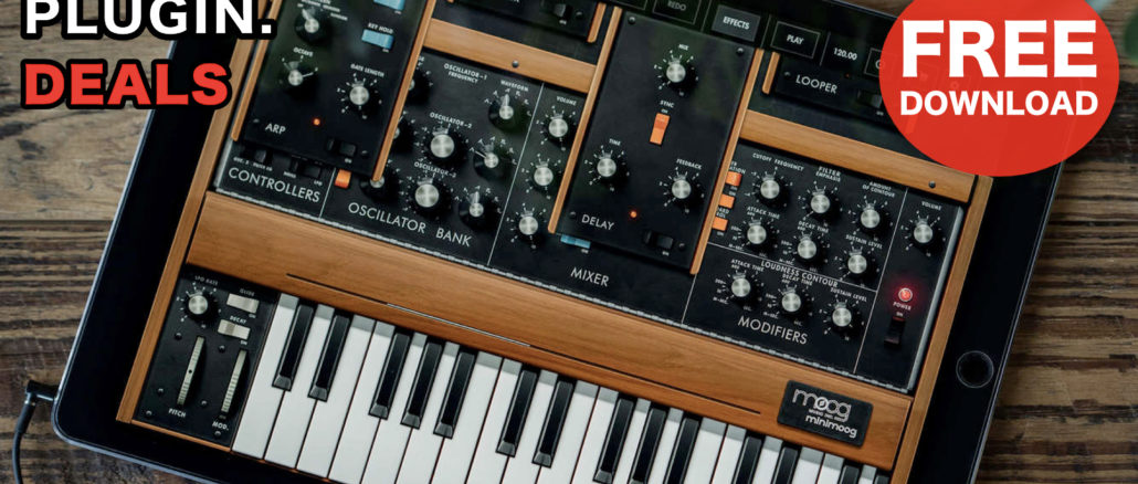Moog Model D